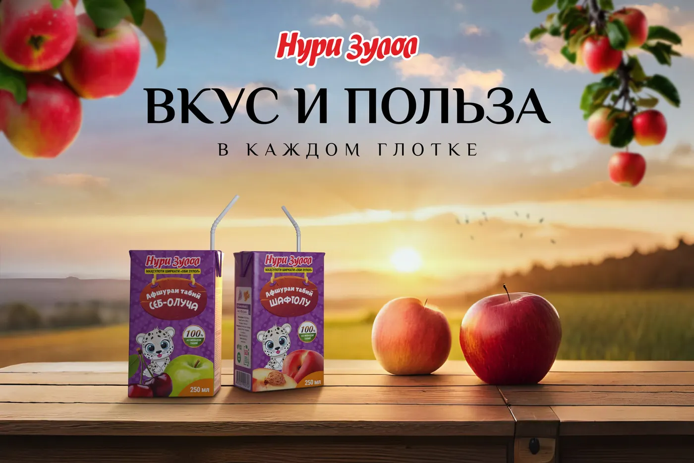 Таърихи бренди Нури Зулол